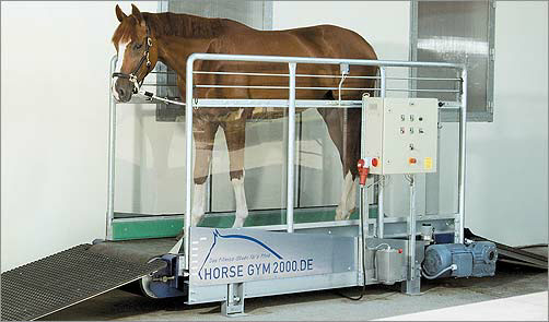 model-standard-automatik тренажер для лошадей